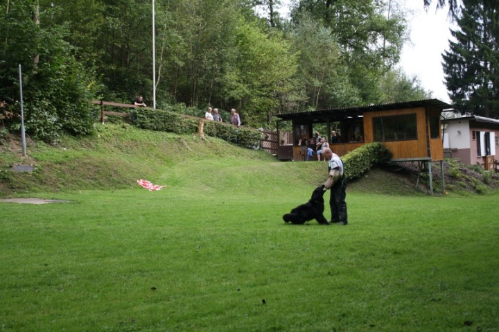 Sommerfest 2014