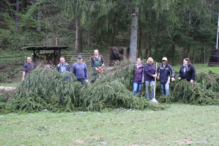 Baumfällaktion auf dem Hundeplatz