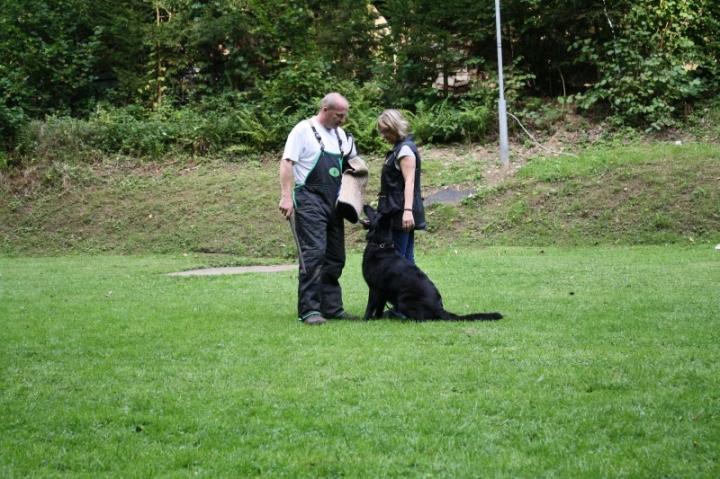 Sommerfest 2014
