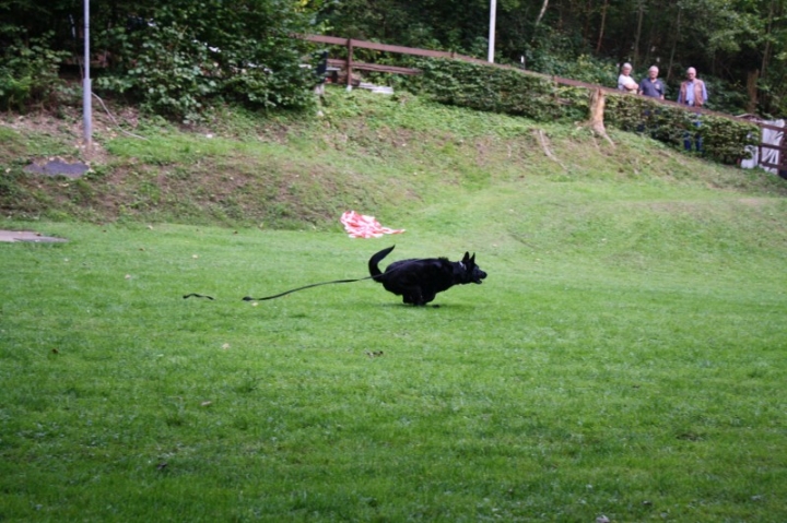 Sommerfest 2014