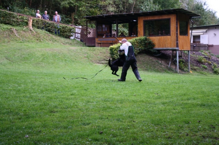 Sommerfest 2014