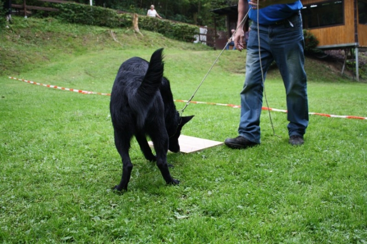 Sommerfest 2014