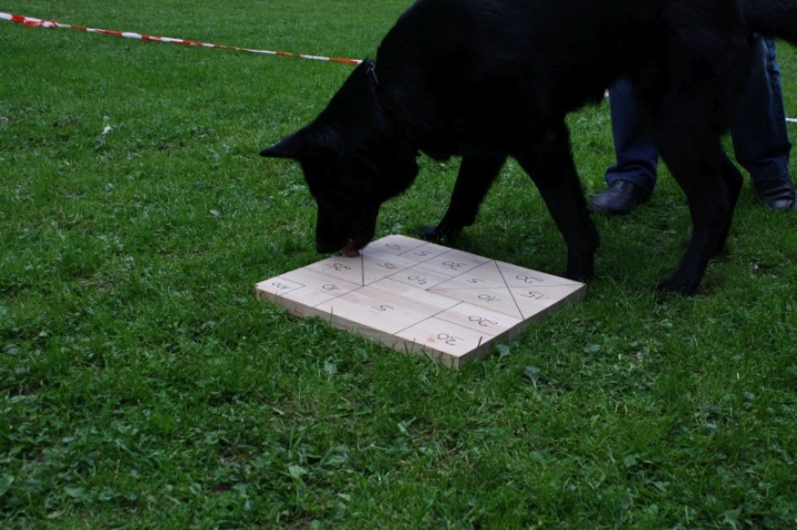 Sommerfest 2014