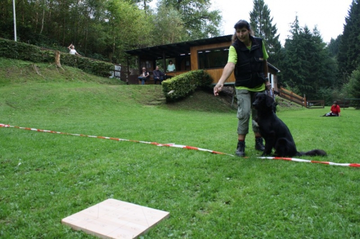 Sommerfest 2014