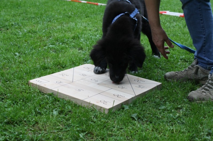 Sommerfest 2014