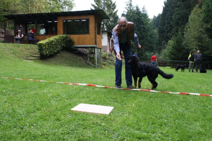 Sommerfest 2014