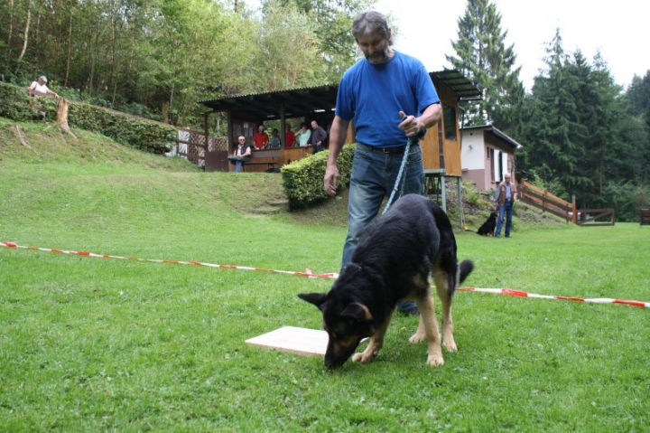 Sommerfest 2014