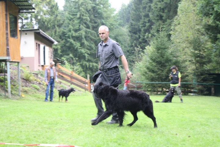 Sommerfest 2014