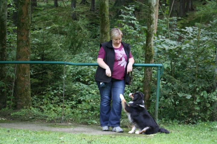Sommerfest 2014