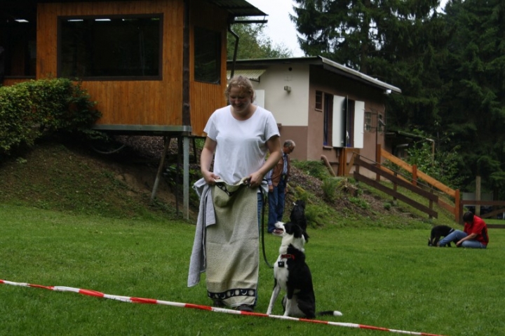 Sommerfest 2014
