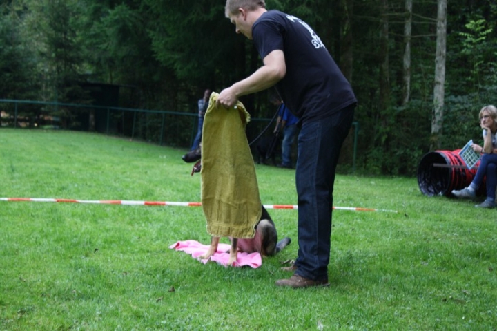 Sommerfest 2014