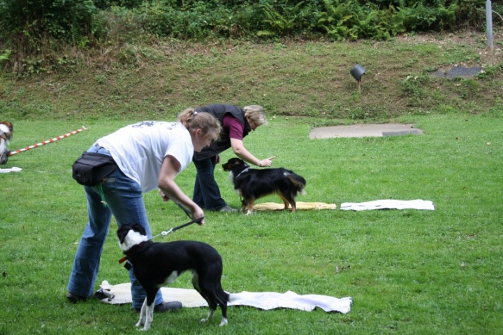 Sommerfest 2014