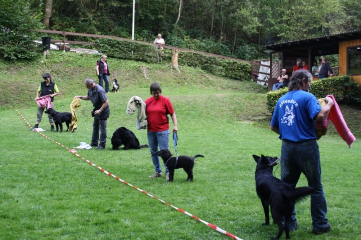 Sommerfest 2014