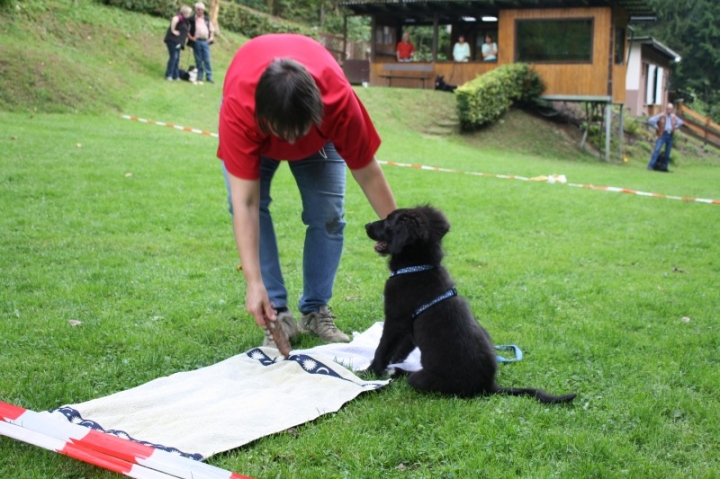 Sommerfest 2014