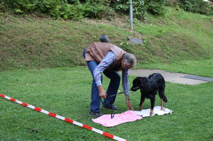 Sommerfest 2014
