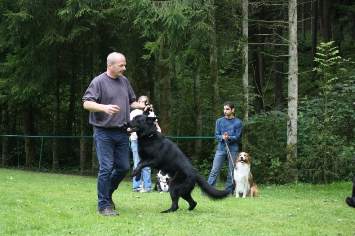 Sommerfest 2014