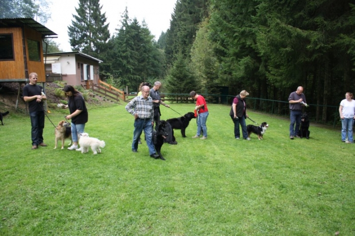 Sommerfest 2014