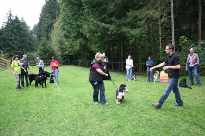 Sommerfest 2014