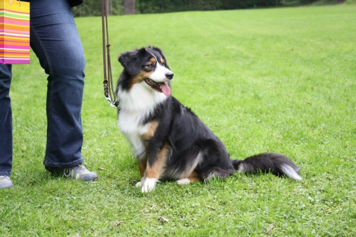 Sommerfest 2014