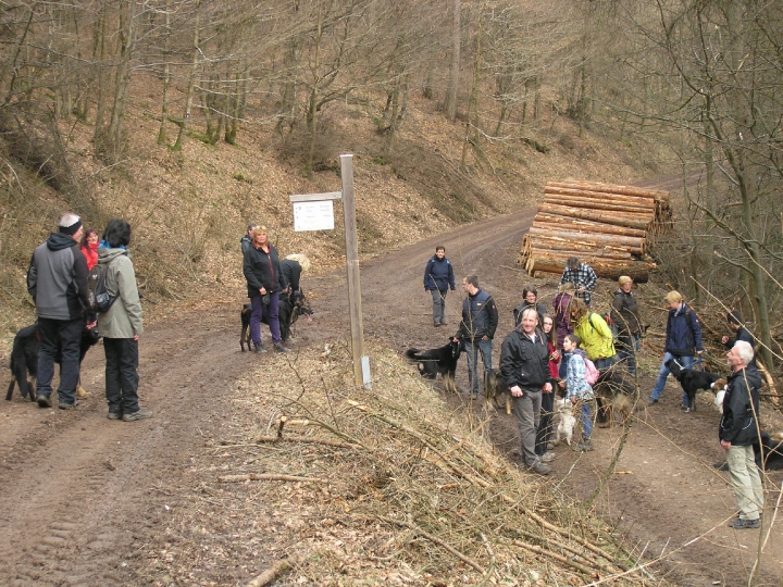Wandertag am 07.03.2015