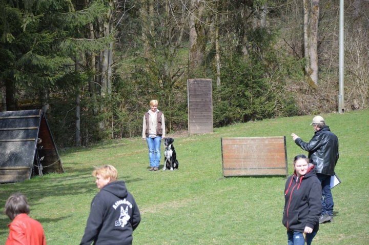 Frühjahrsprüfung 2015