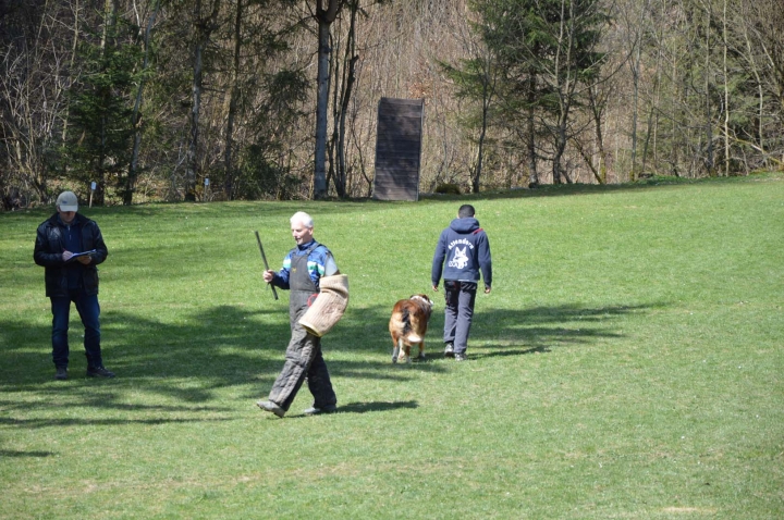 Frühjahrsprüfung 2015