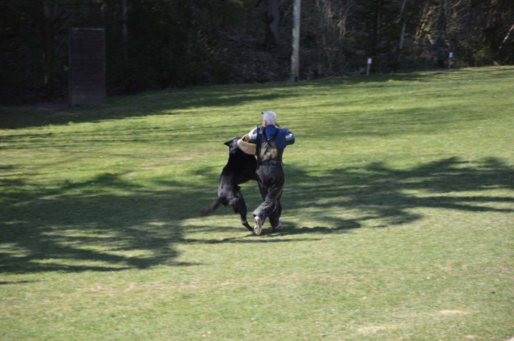 Frühjahrsprüfung 2015