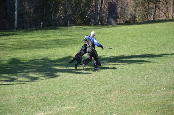 Frühjahrsprüfung 2015