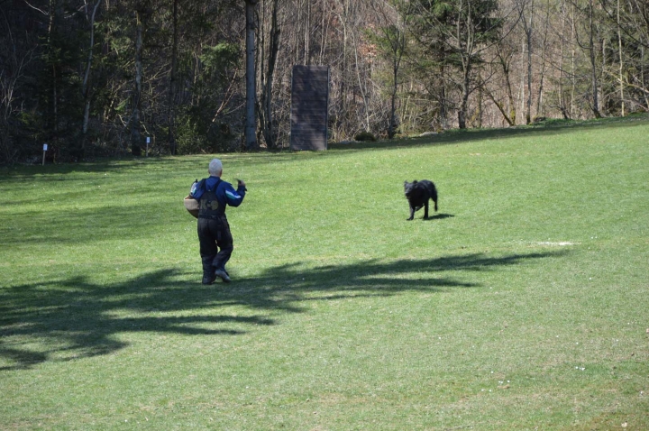 Frühjahrsprüfung 2015