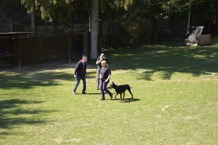 Frühjahrsprüfung 2015
