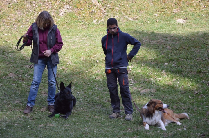 Frühjahrsprüfung 2015