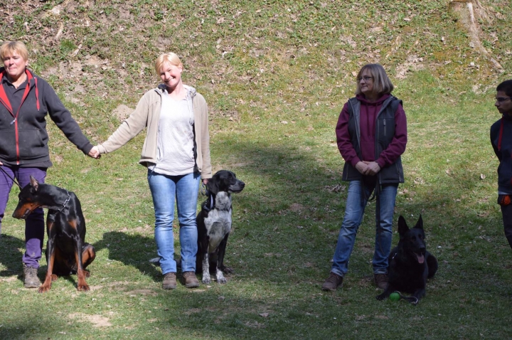 Frühjahrsprüfung 2015