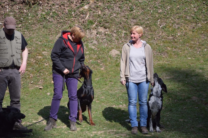 Frühjahrsprüfung 2015