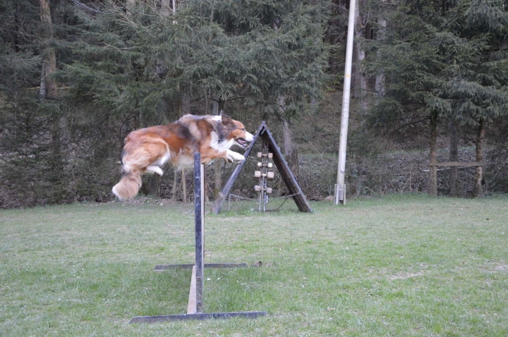Frühjahrsprüfung 2015