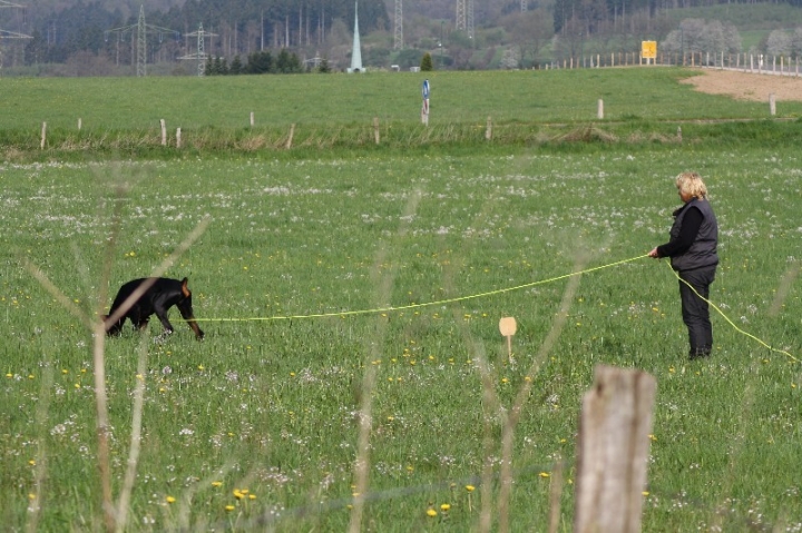 Frühjahrsprüfung am 04.05.2013