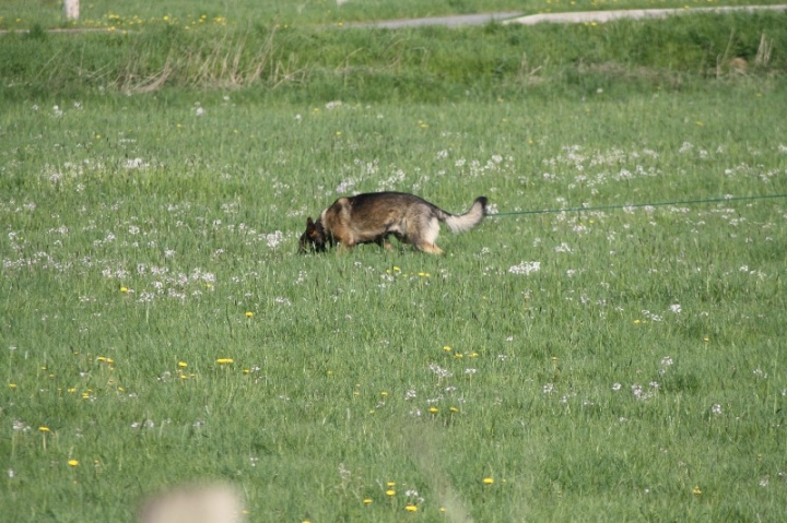 Frühjahrsprüfung am 04.05.2013