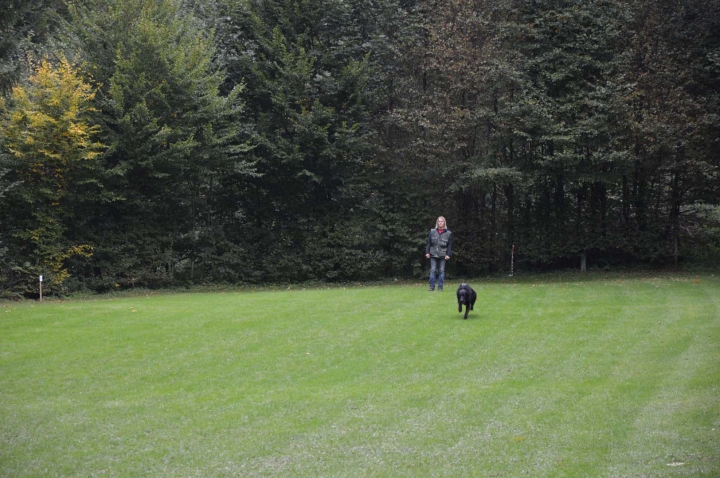 Herbstprüfung 2015