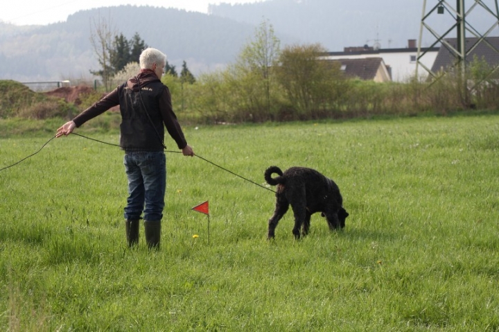 Frühjahrsprüfung am 04.05.2013