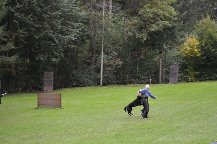 Herbstprüfung 2015
