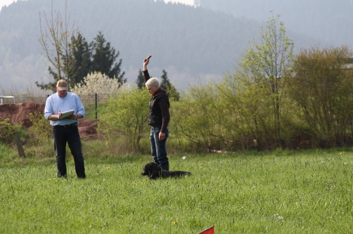 Frühjahrsprüfung am 04.05.2013