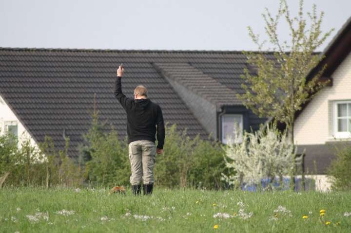 Frühjahrsprüfung am 04.05.2013