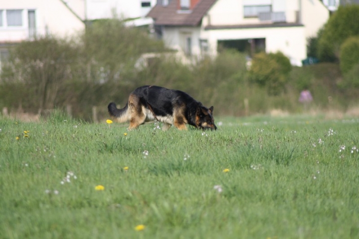 Frühjahrsprüfung am 04.05.2013