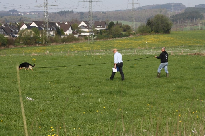 Frühjahrsprüfung am 04.05.2013