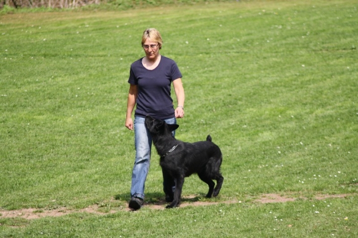 Frühjahrsprüfung am 04.05.2013