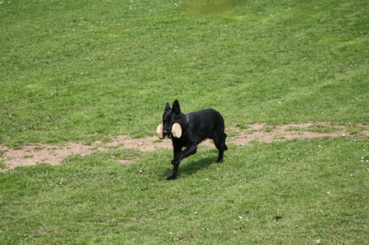 Frühjahrsprüfung am 04.05.2013