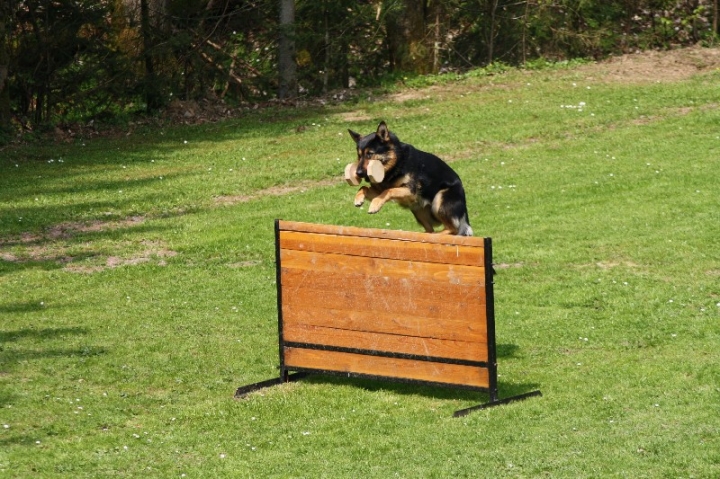 Frühjahrsprüfung am 04.05.2013
