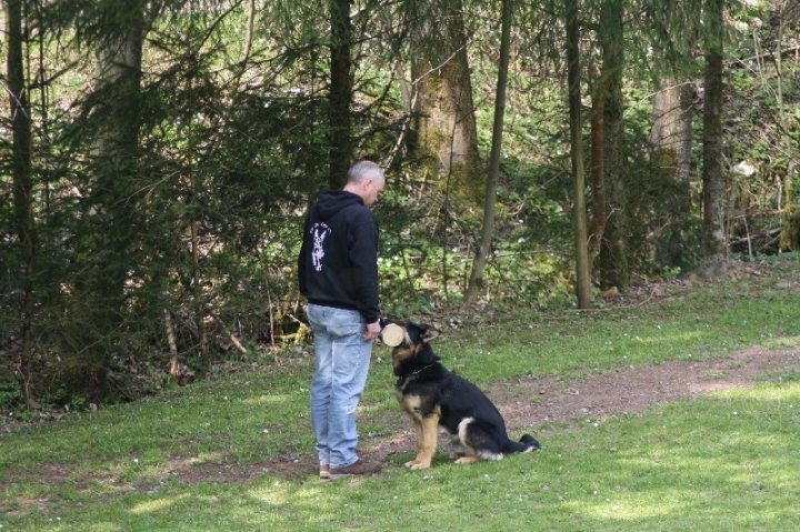 Frühjahrsprüfung am 04.05.2013