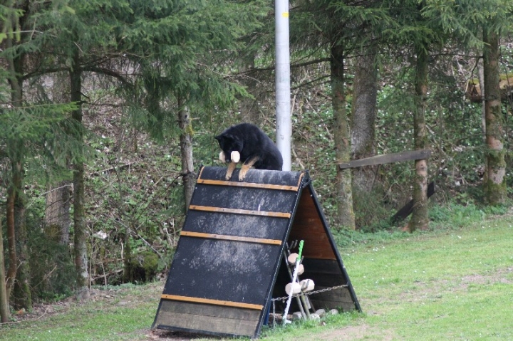 Frühjahrsprüfung am 04.05.2013