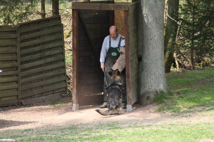 Frühjahrsprüfung am 04.05.2013