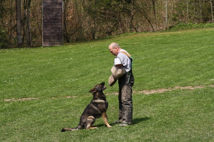 Frühjahrsprüfung am 04.05.2013